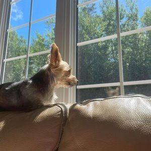 Meet your Posher, Leona